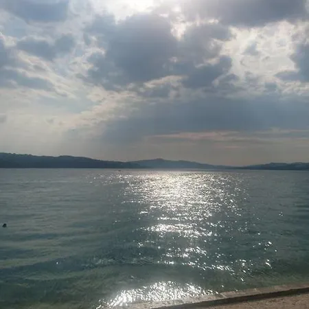 Iris * Trogir